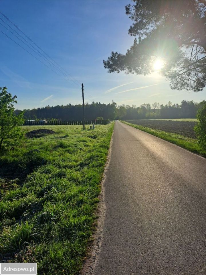Działka budowlana Regny, ul. Leśna. Zdjęcie 6