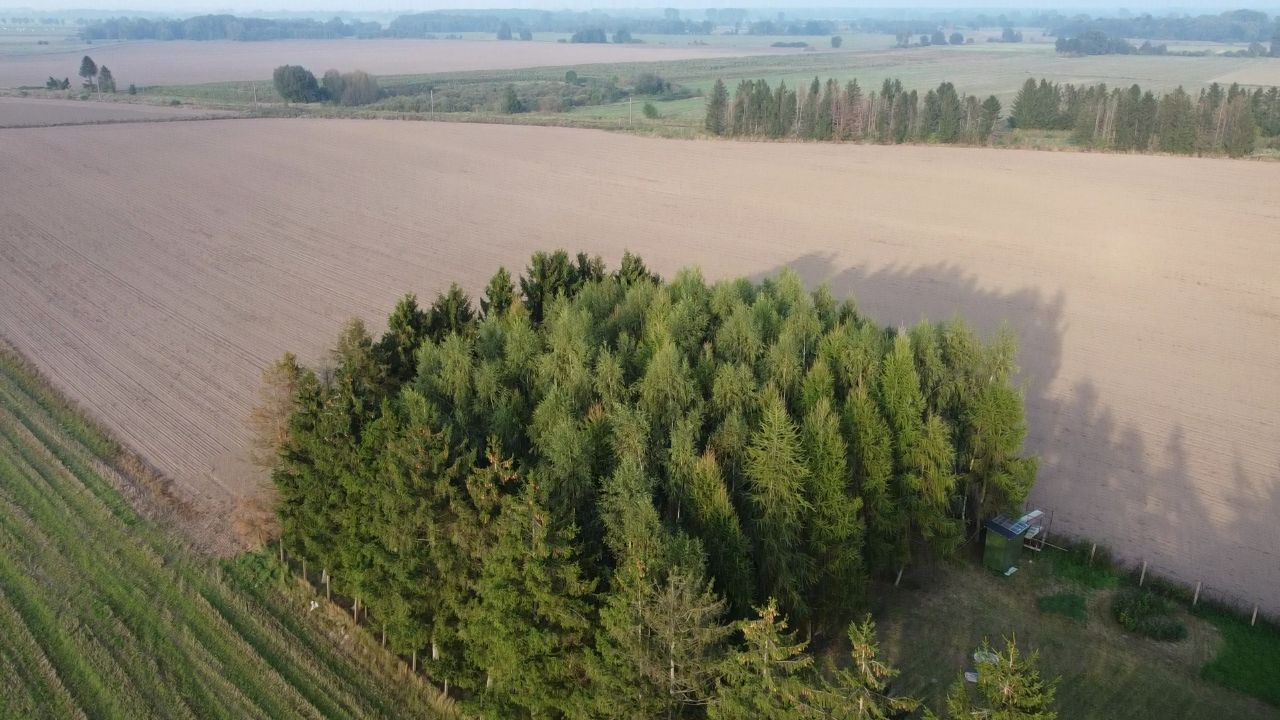 Działka rolno-budowlana Jarszewo. Zdjęcie 16