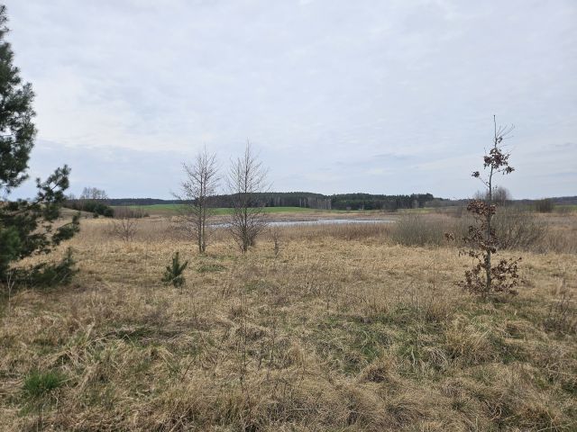 Działka rolna Nowy Dwór. Zdjęcie 4