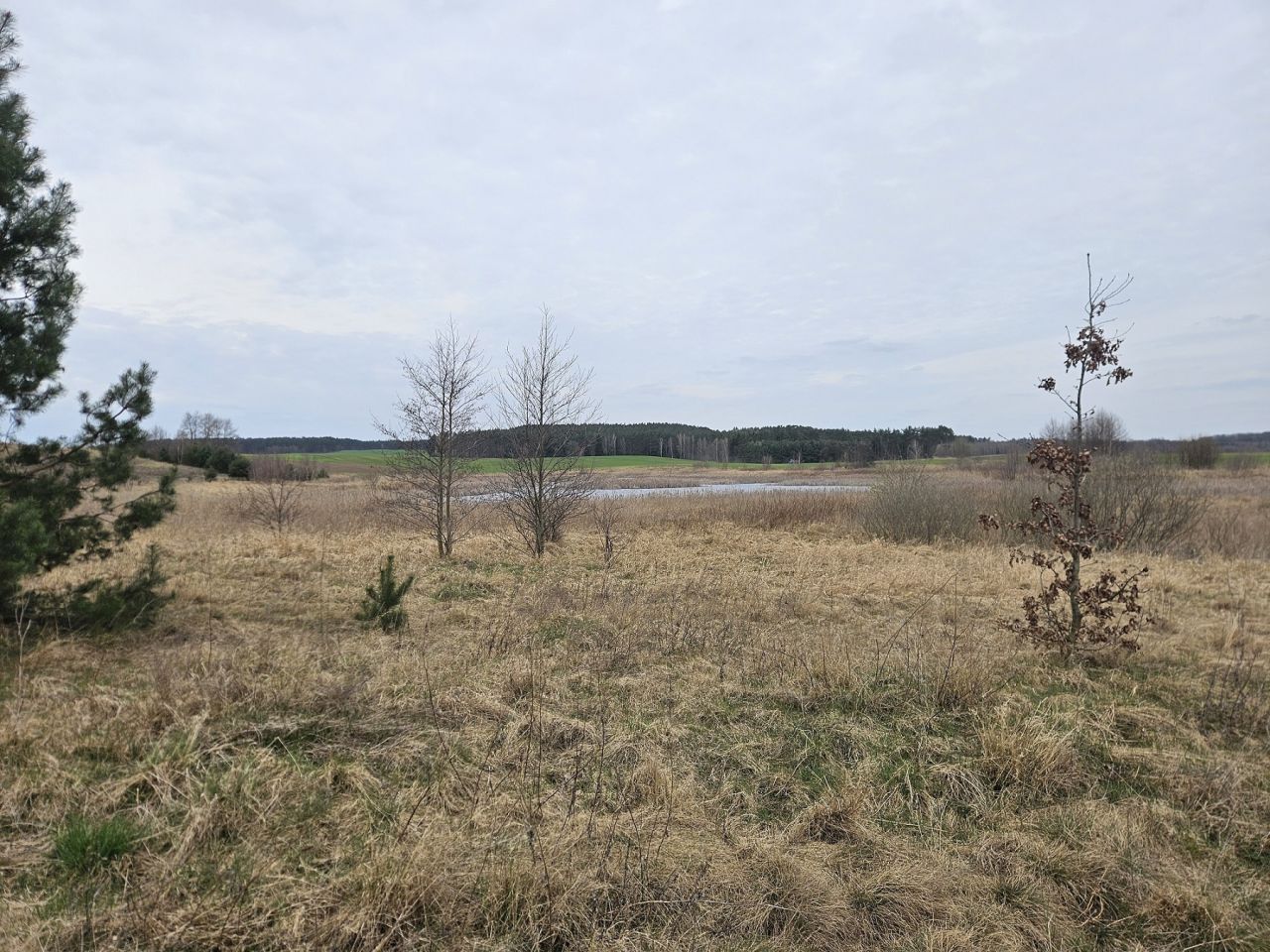 Działka rolna Nowy Dwór. Zdjęcie 4