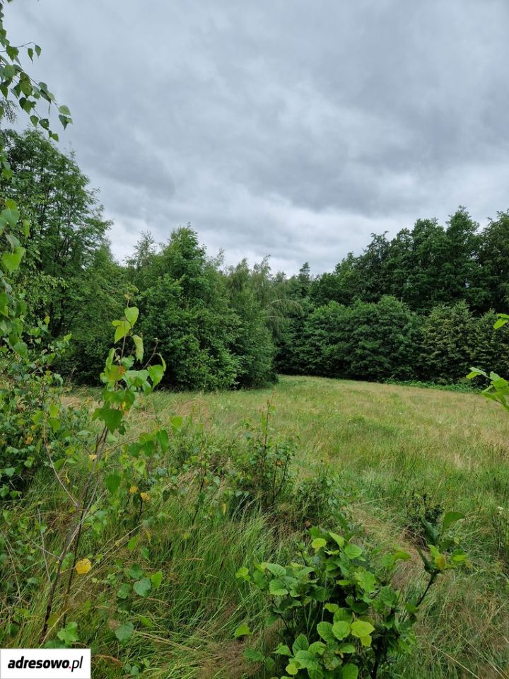 Działka rolno-budowlana Gruszków. Zdjęcie 8