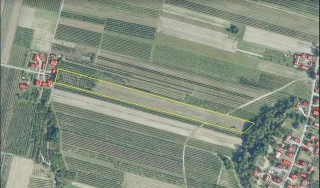 Działka rolna Trzykosy. Zdjęcie 1