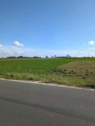 Działka budowlana Rzegnowo. Zdjęcie 1