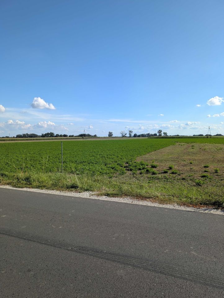 Działka budowlana Rzegnowo. Zdjęcie 1