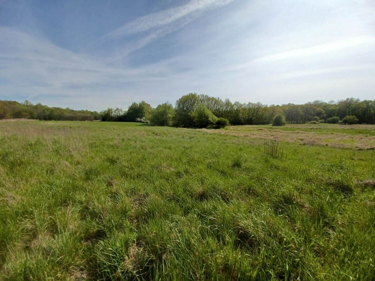 Działka rolna Gliniany. Zdjęcie 7