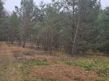 Działka budowlana Ważne Młyny, ul. Płaczkowska. Zdjęcie 3