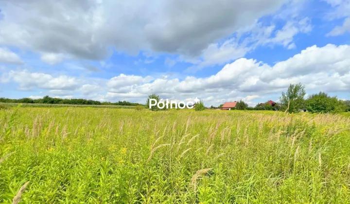 Działka Bielawa, ul. Zawilcowa