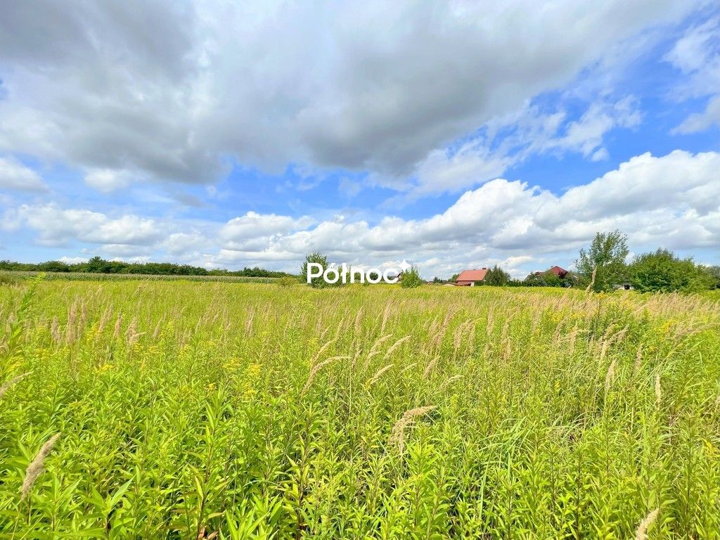 Działka Bielawa, ul. Zawilcowa. Zdjęcie 1