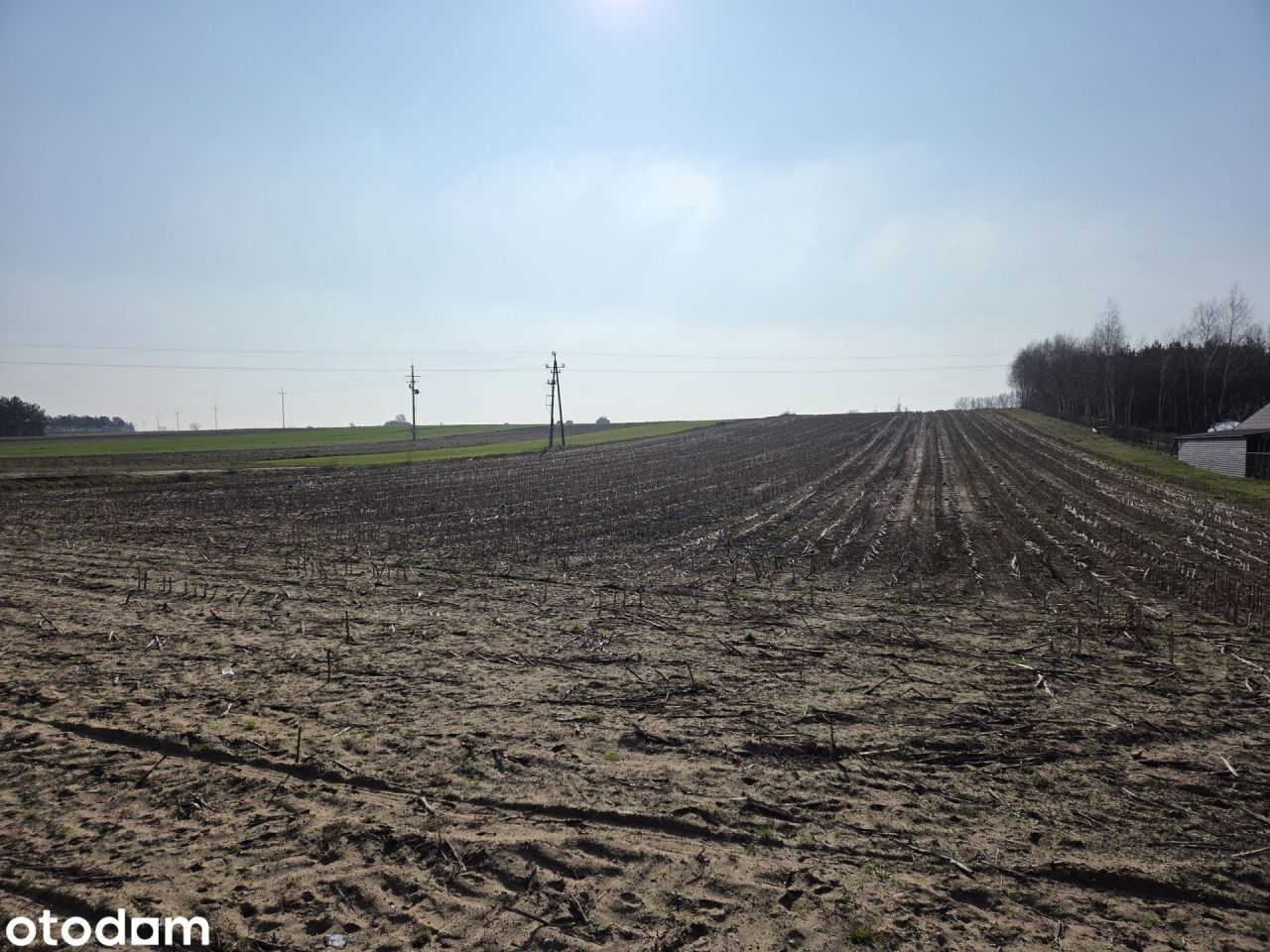 Działka budowlana Kramsk Kramsk-Łęgi. Zdjęcie 4
