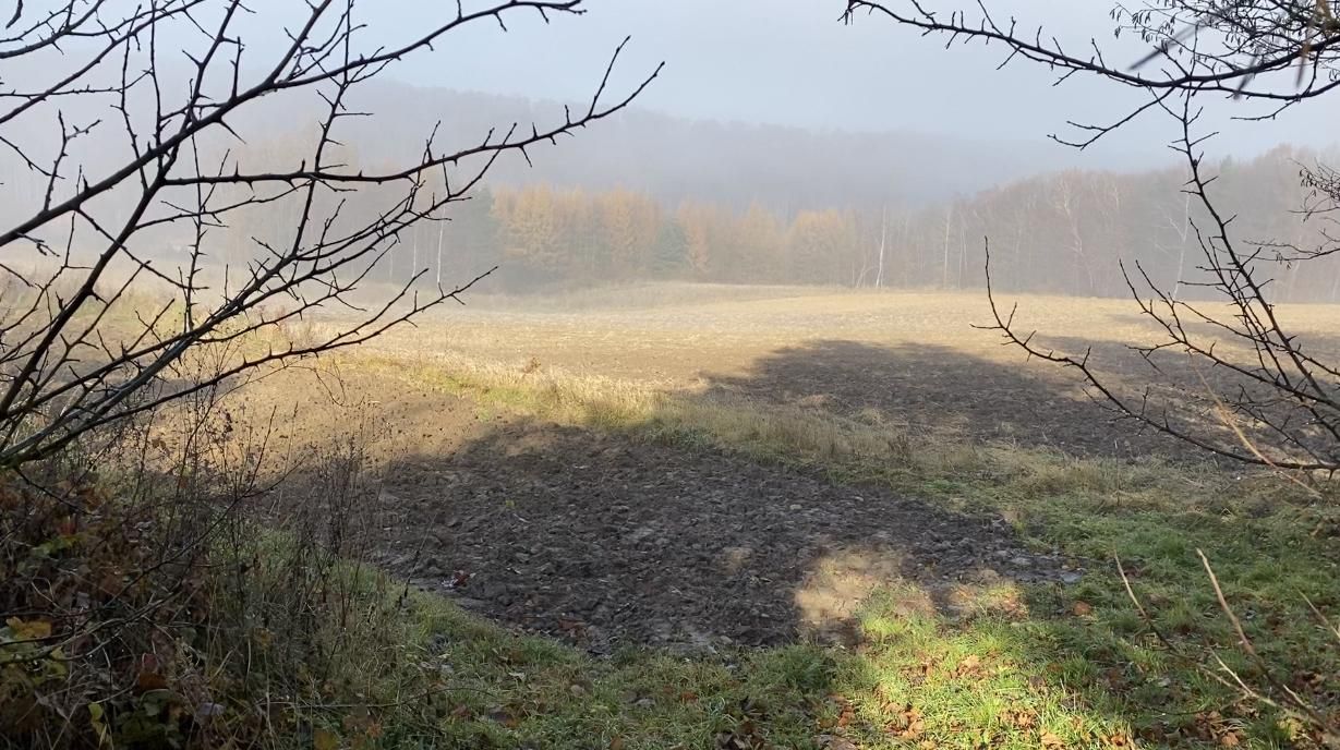 Działka rolno-budowlana Cisia Wola. Zdjęcie 2