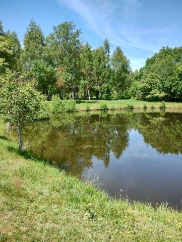 Działka rolno-budowlana Pieńki Słubickie. Zdjęcie 1