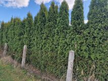 Działka rod Szczecin Bukowo, ul. Nad Stołczynką. Zdjęcie 2