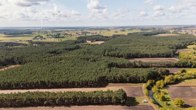 Działka leśna Maurzyce. Zdjęcie 5