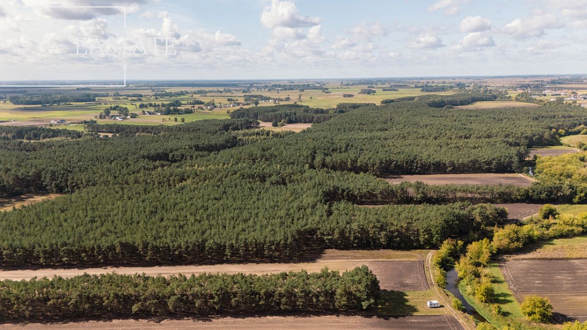 Działka leśna Maurzyce. Zdjęcie 5