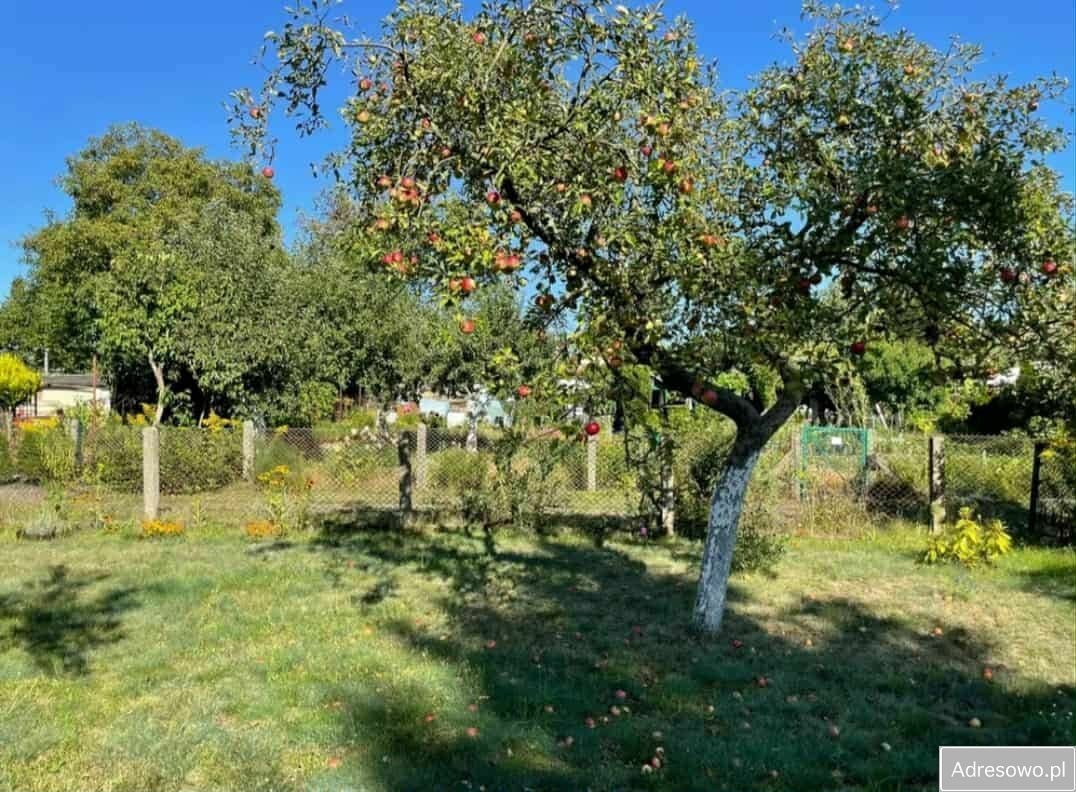 Działka rod Szczecin Śródmieście. Zdjęcie 3