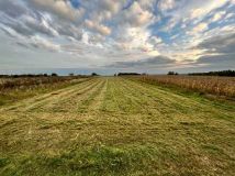 Działka rolno-budowlana Sandomierz, ul. Panoramiczna