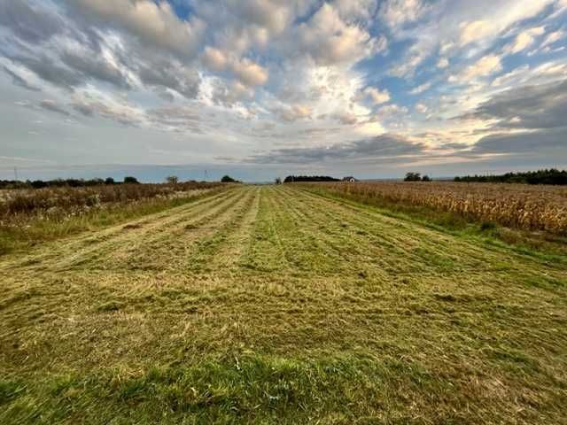 Działka rolno-budowlana Sandomierz, ul. Panoramiczna