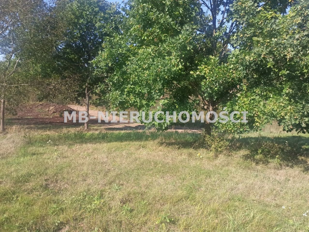 Działka rolna Ługwałd. Zdjęcie 5