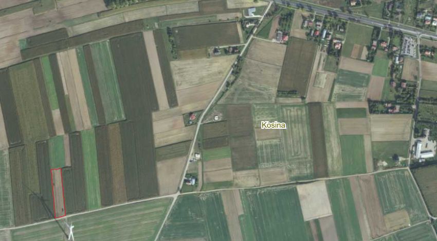Działka rolna Kosina. Zdjęcie 4