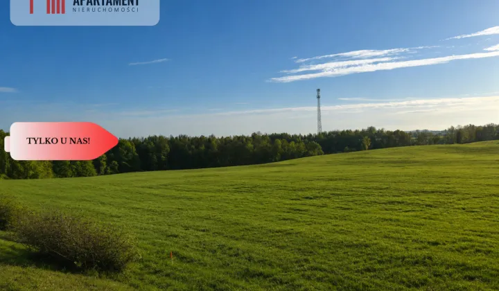 Działka budowlana Liniewskie Góry