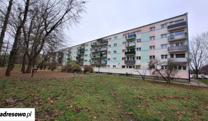 Mieszkanie 2-pokojowe Łódź Bałuty, ul. Rojna