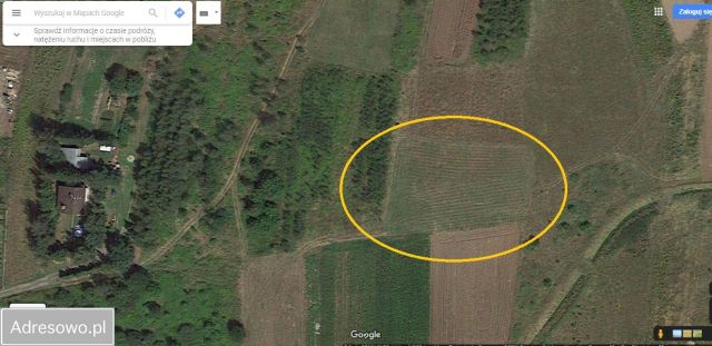 Działka rolno-budowlana Świlcza Kamyszyn. Zdjęcie 1