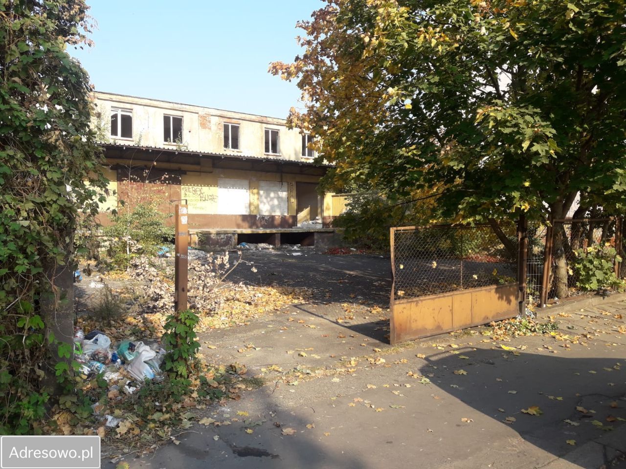 Hala/magazyn Legnica, ul. Bolesława Prusa. Zdjęcie 9