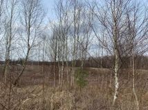 Działka budowlana Skoroszów, ul. Leśna. Zdjęcie 1