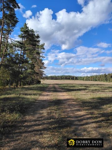 Działka budowlana Kopanica. Zdjęcie 4