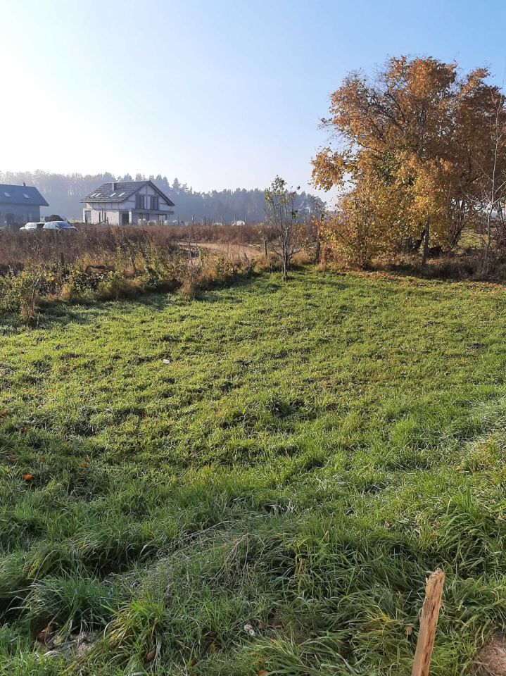 Działka budowlana Gołębiewo Wielkie