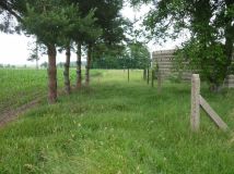 Działka budowlana Rojew. Zdjęcie 3