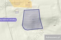 Działka rolna Lubcza. Zdjęcie 1