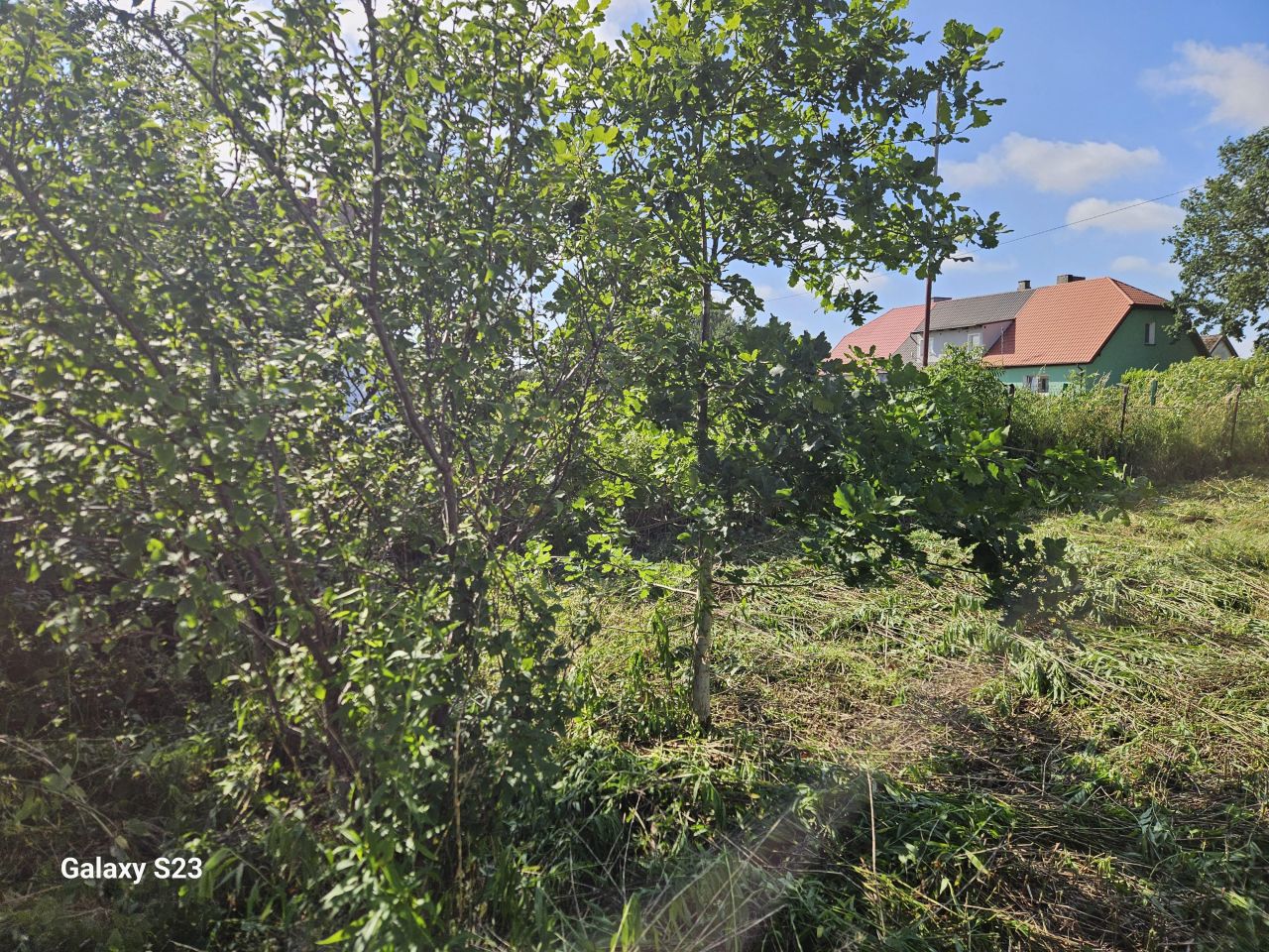Działka rolna Łokciowe. Zdjęcie 7