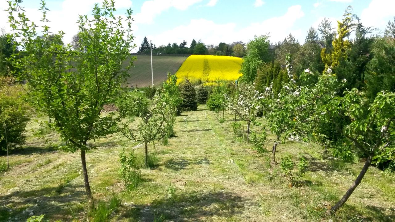 Działka rolno-budowlana Batycze. Zdjęcie 2