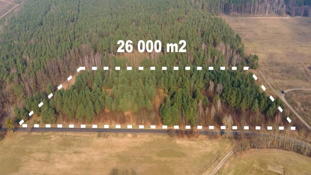 Działka rolno-budowlana Radolinek. Zdjęcie 1