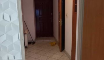 dom szeregowy Bieżuń