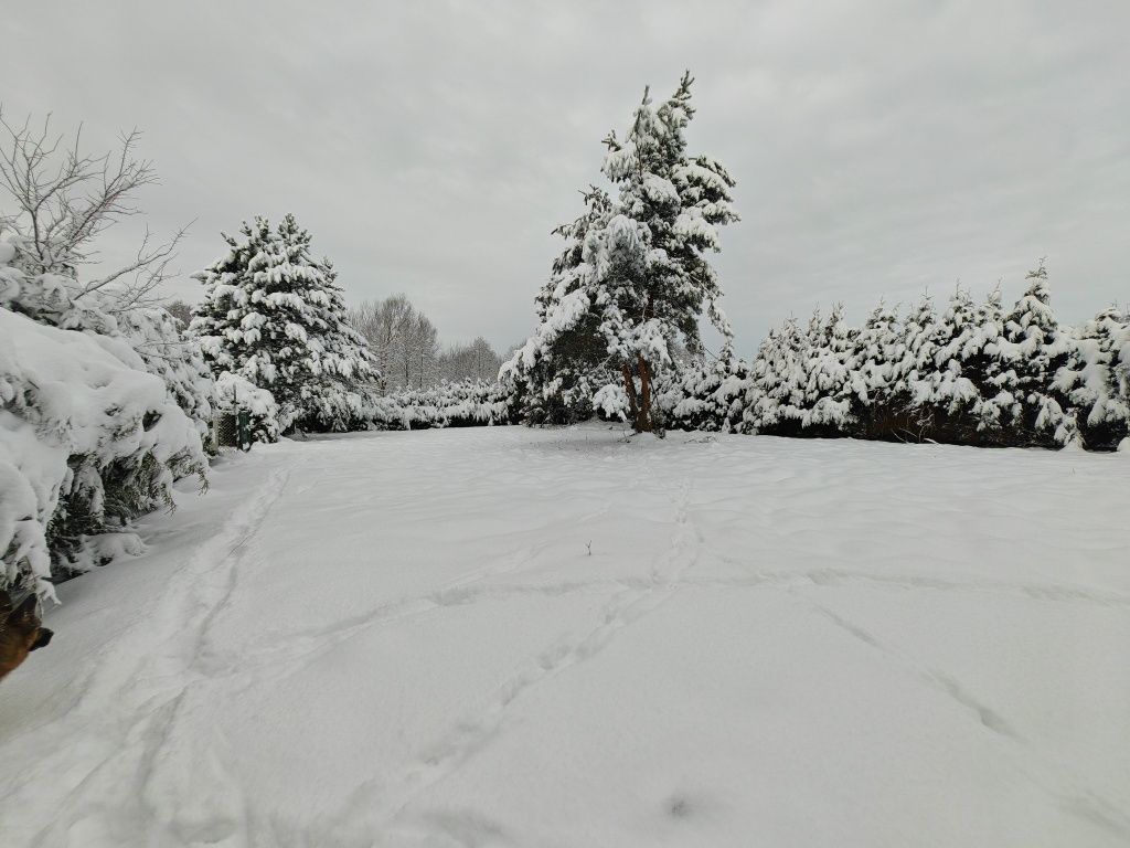 Działka budowlana Jaworze Jaworze Górne, ul. Zawilcowa. Zdjęcie 3