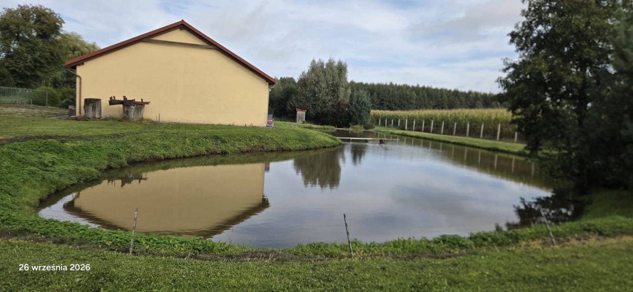 Działka siedliskowa Buczyniec. Zdjęcie 10