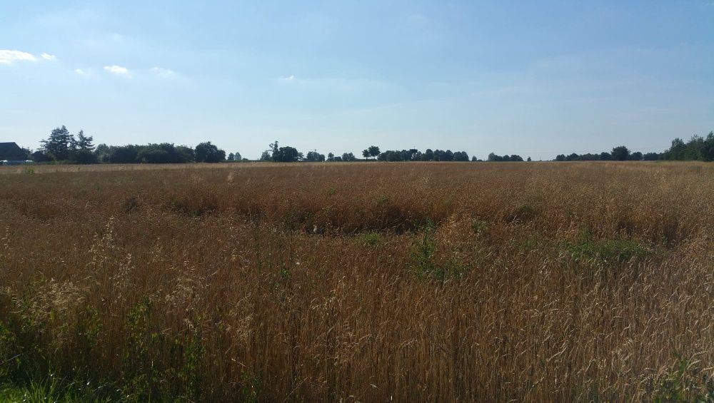 Działka budowlana Radzyń Podlaski, ul. Międzyrzecka. Zdjęcie 3