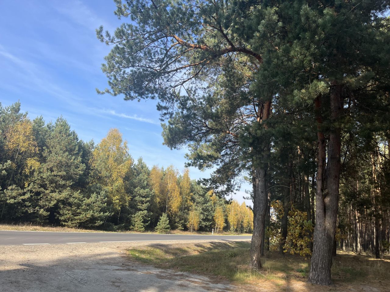 Działka budowlana Elżbiecin. Zdjęcie 6