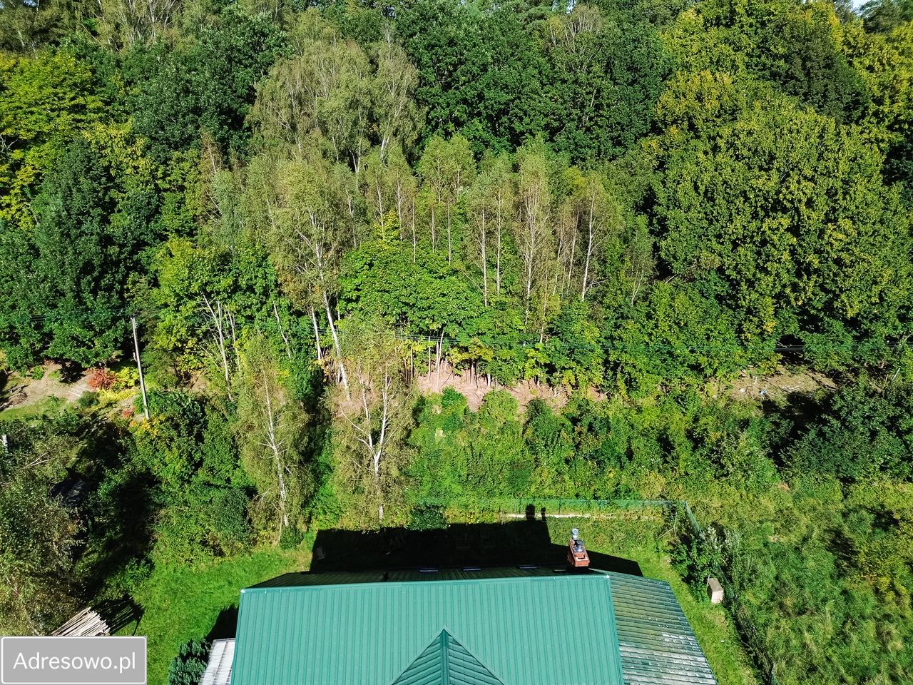 Działka rolno-budowlana Czapielsk. Zdjęcie 6