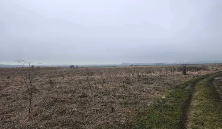 Działka rolna Miączyn-Kolonia, brak