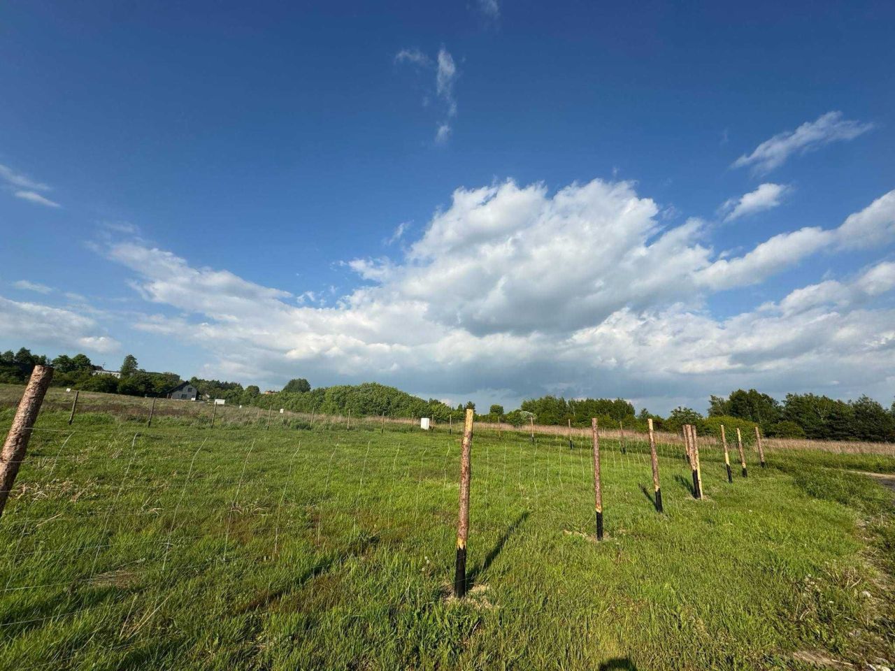 Działka budowlana Dobieszowice