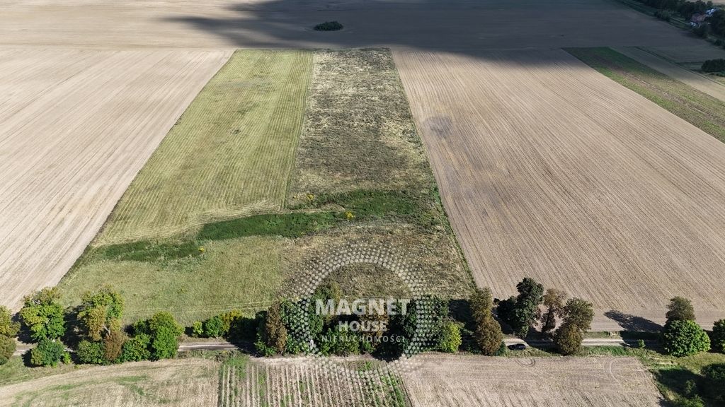 Działka rolna Rutwica. Zdjęcie 11