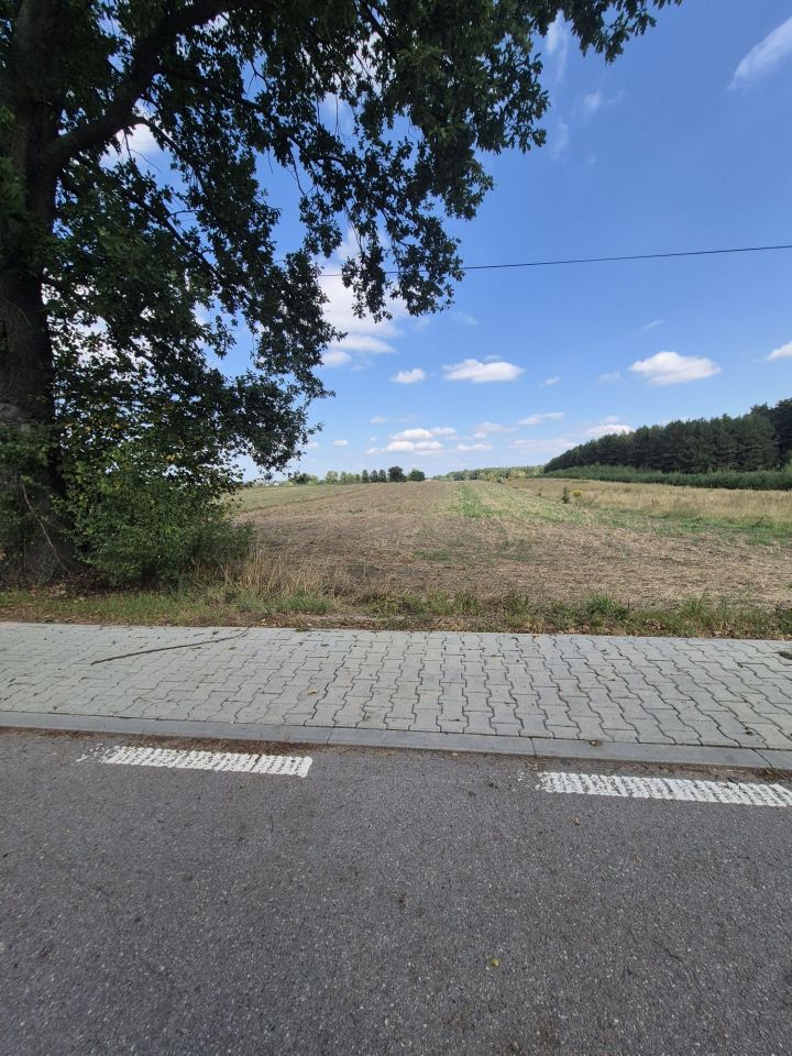 Działka rolno-budowlana Trębowiec-Krupów. Zdjęcie 2