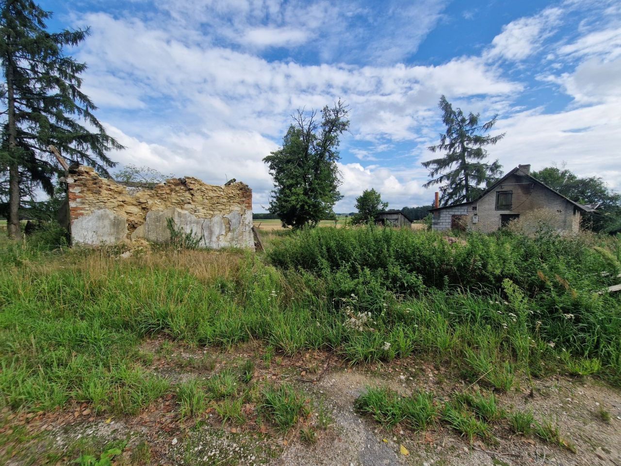 Działka budowlana Sady. Zdjęcie 4