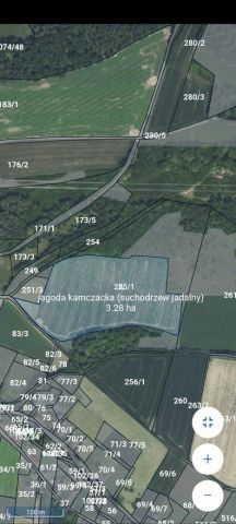 Działka rolna Skorzynice. Zdjęcie 1