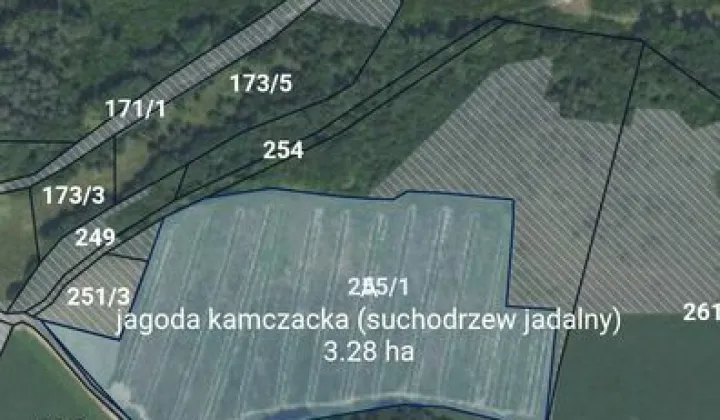 Działka rolna Skorzynice