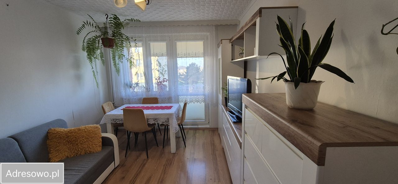 Mieszkanie 2-pokojowe Jastrzębie-Zdrój, os. 1000-lecia. Zdjęcie 6