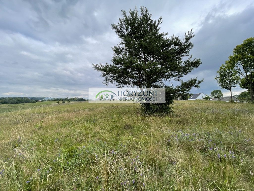 Działka Nowa Wieś Przywidzka. Zdjęcie 8